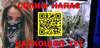 стаф Будённовск