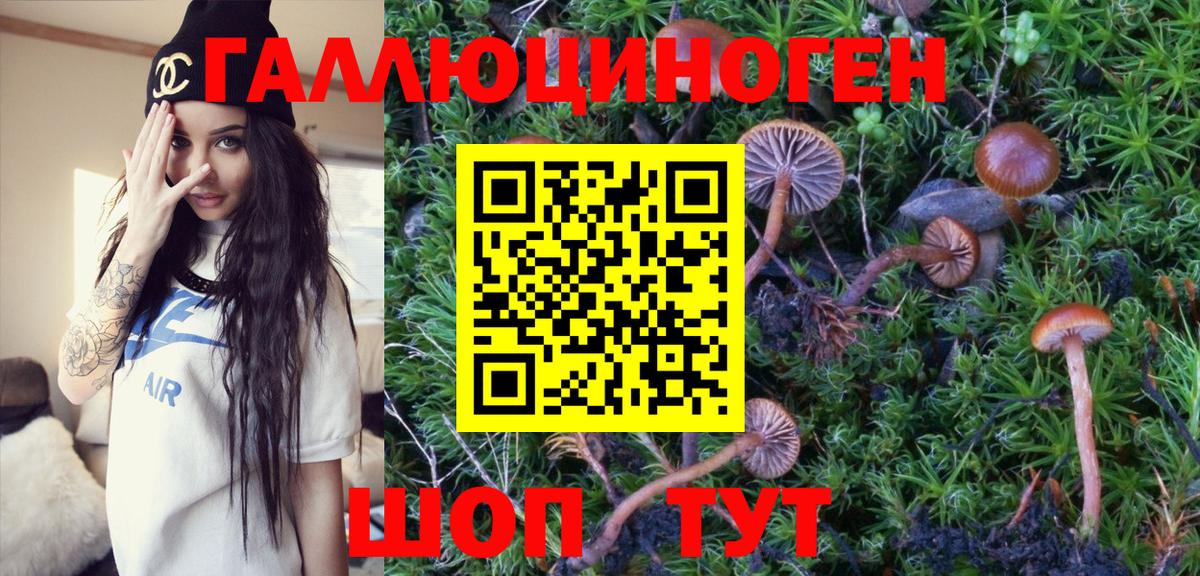 Псилоцибиновые грибы GOLDEN TEACHER Реж